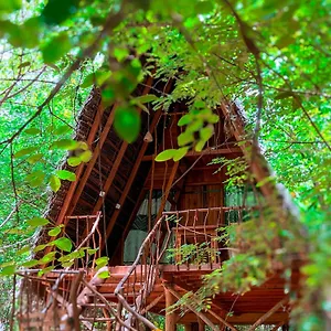 Ośrodek wypoczynkowy Tree House Ambasewana Habarana